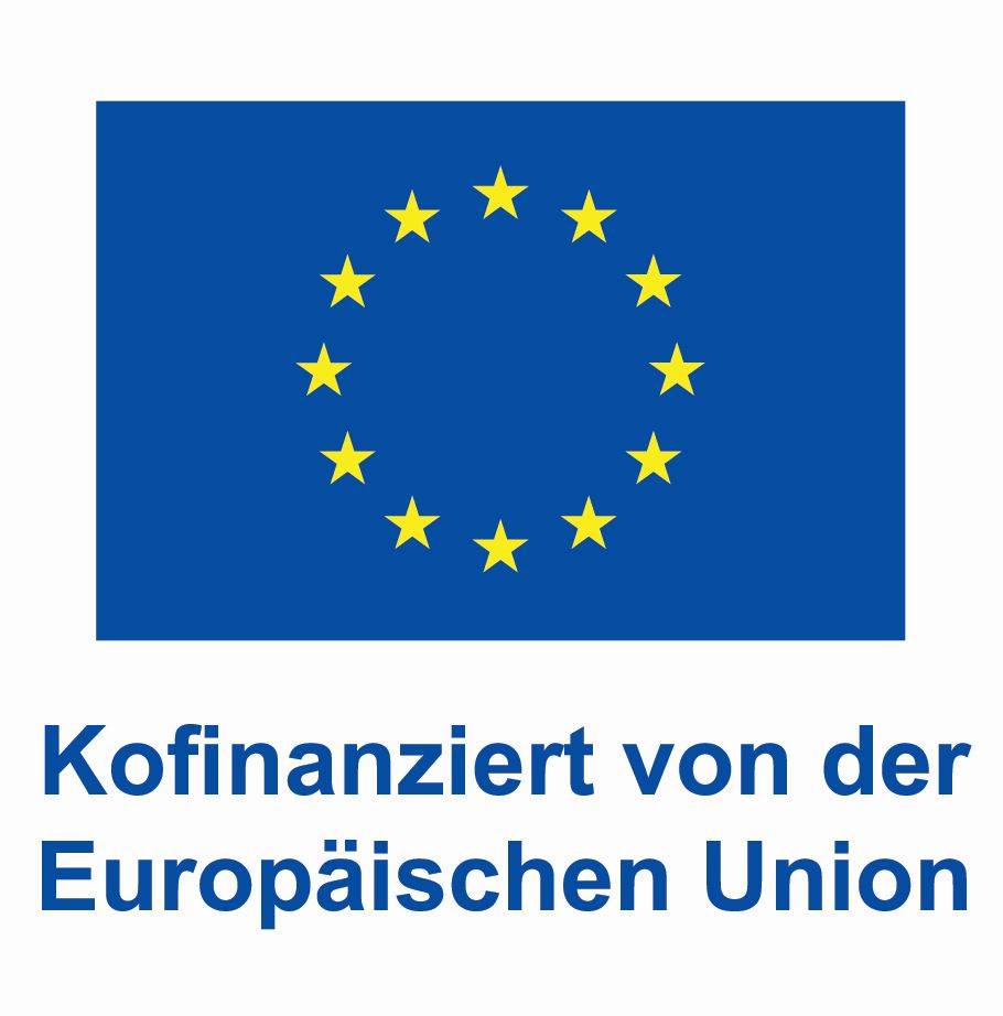 Erasmus Logo